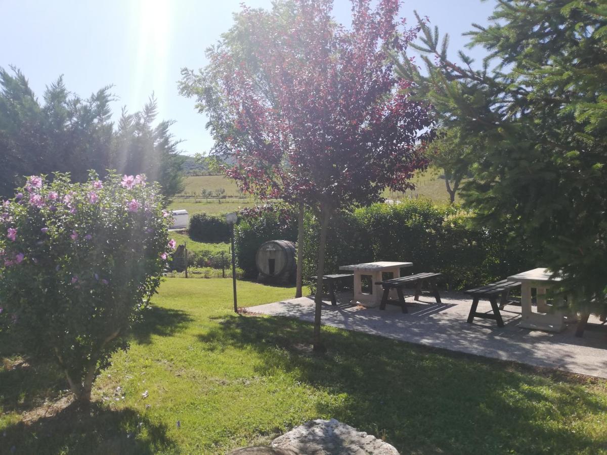 נוצ'רה אומברה Valle Del Poggio מראה חיצוני תמונה